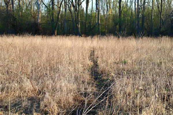 $1,120,000 | Tbd Blueberry Lane, Waldo, WI 53093