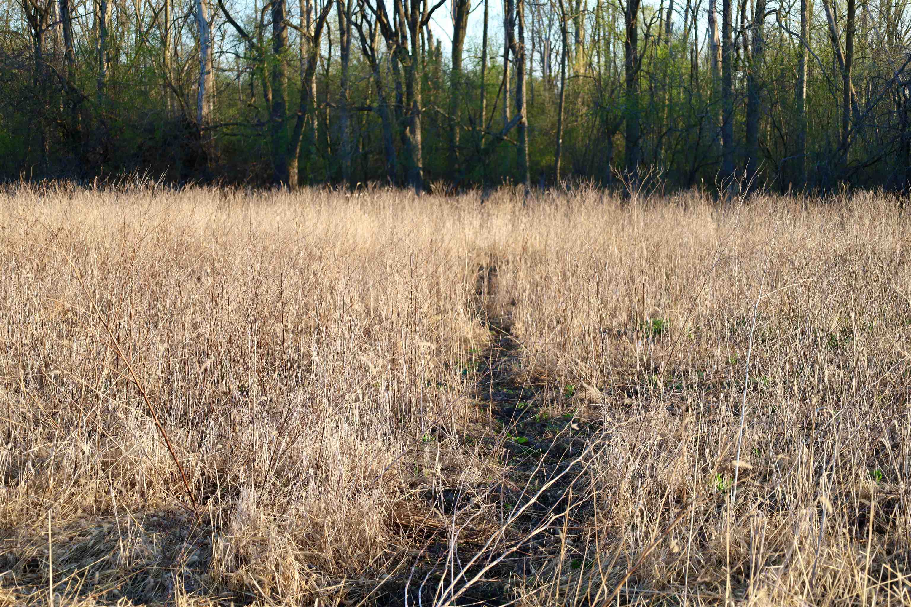 Tbd Blueberry Lane Waldo, WI 53093 - Photo 34 of 56