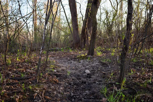 $1,120,000 | Tbd Blueberry Lane, Waldo, WI 53093