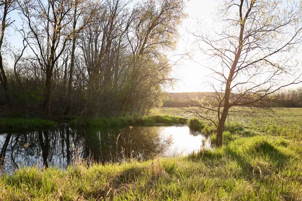 $1,120,000 | Tbd Blueberry Lane, Waldo, WI 53093