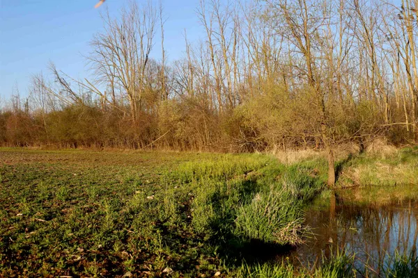 $1,120,000 | Tbd Blueberry Lane, Waldo, WI 53093