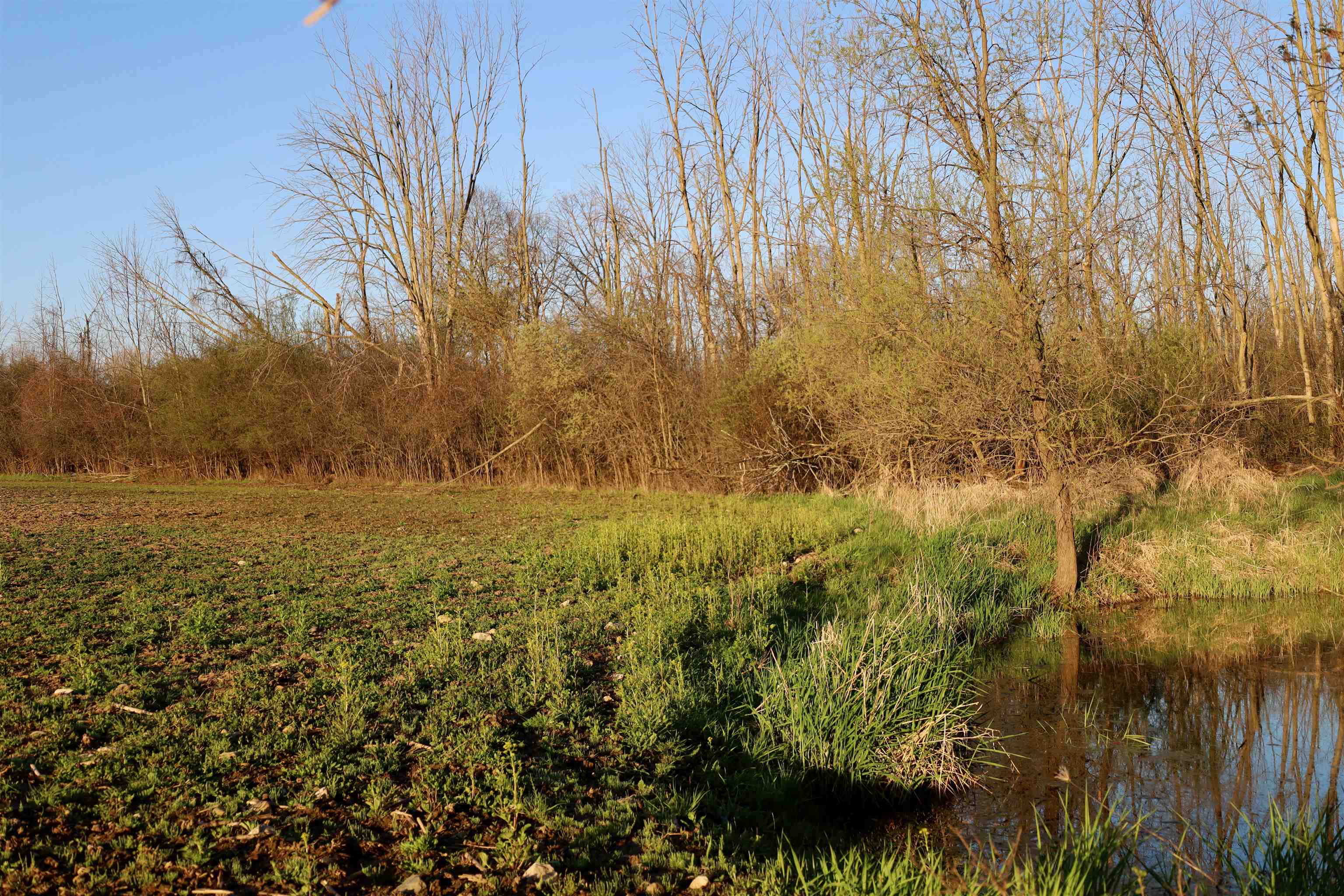 Tbd Blueberry Lane Waldo, WI 53093 - Photo 38 of 56