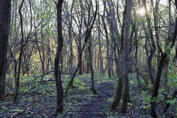 $1,120,000 | Tbd Blueberry Lane, Waldo, WI 53093