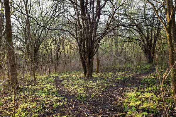 $1,120,000 | Tbd Blueberry Lane, Waldo, WI 53093