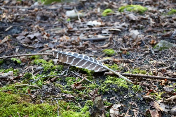 $1,120,000 | Tbd Blueberry Lane, Waldo, WI 53093