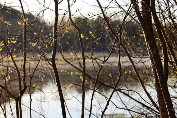 $1,120,000 | Tbd Blueberry Lane, Waldo, WI 53093