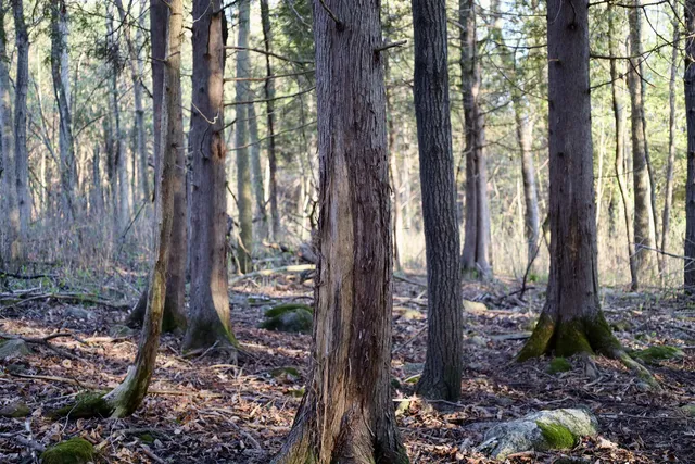 $1,120,000 | Tbd Blueberry Lane, Waldo, WI 53093