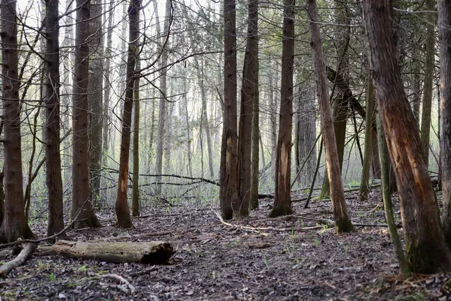 $1,120,000 | Tbd Blueberry Lane, Waldo, WI 53093