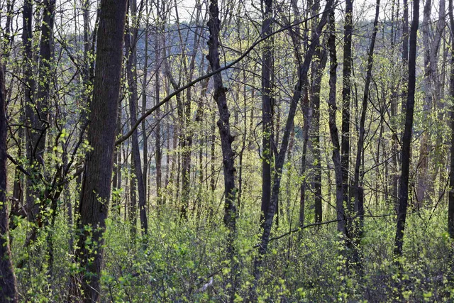 $1,120,000 | Tbd Blueberry Lane, Waldo, WI 53093