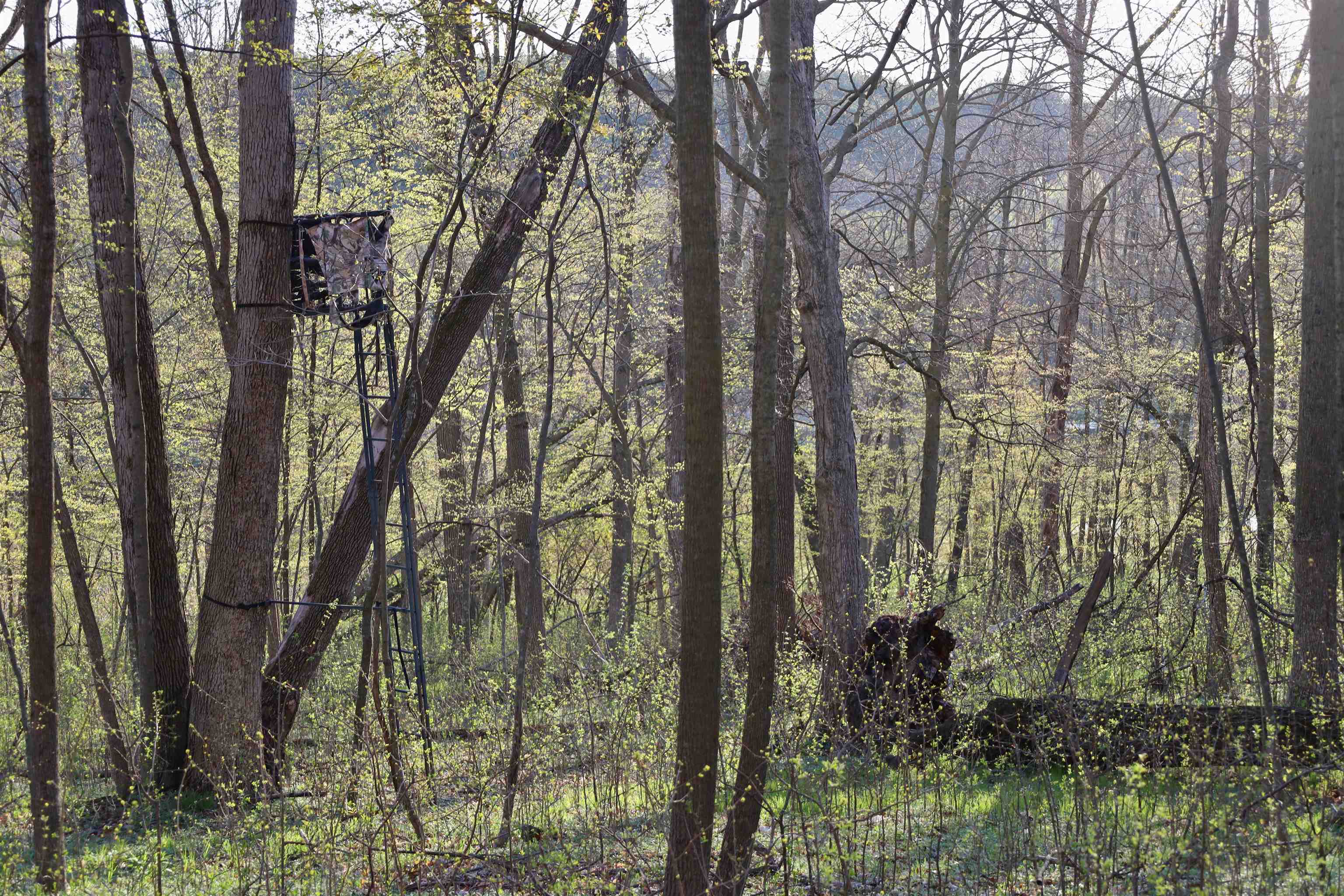 Tbd Blueberry Lane Waldo, WI 53093 - Photo 46 of 56