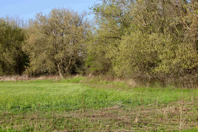 $1,120,000 | Tbd Blueberry Lane, Waldo, WI 53093