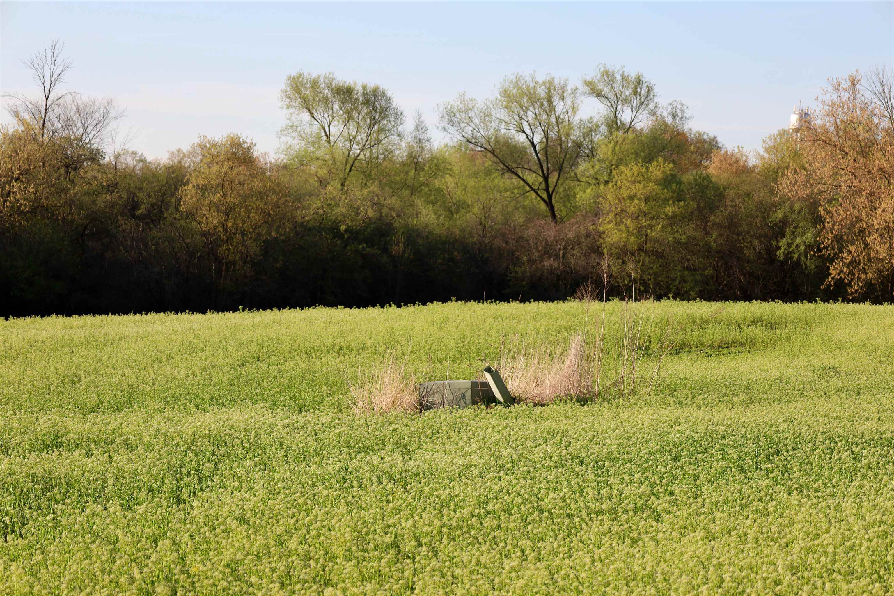 Tbd Blueberry Lane Waldo, WI 53093 - Photo 49 of 56