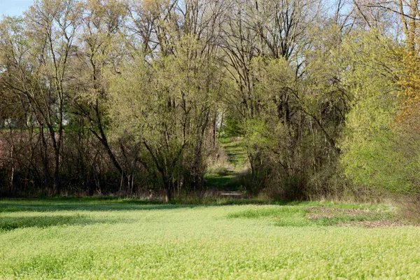 $1,120,000 | Tbd Blueberry Lane, Waldo, WI 53093