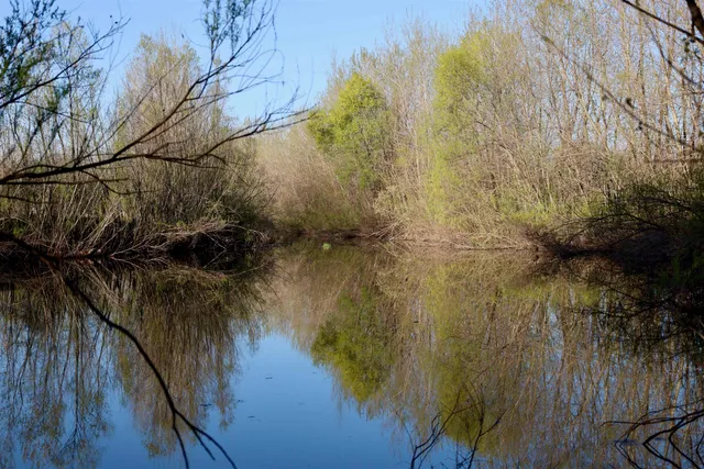 $1,120,000 | Tbd Blueberry Lane, Waldo, WI 53093