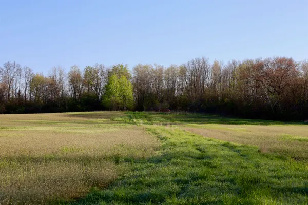 $1,120,000 | Tbd Blueberry Lane, Waldo, WI 53093