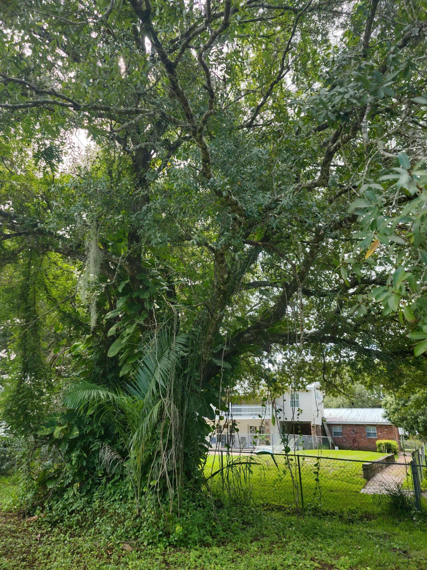 709 Brack Road Fort Pierce, FL 34982 - Photo 12 of 24 b31
