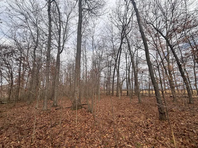 $55,000 | 25 A 89th Street, Decatur, MI 49045