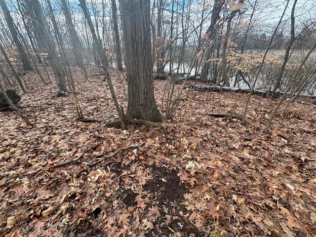 $55,000 | 25 A 89th Street, Decatur, MI 49045