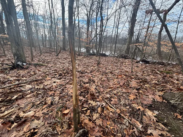 $55,000 | 25 A 89th Street, Decatur, MI 49045