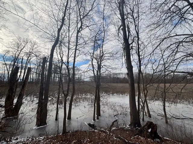 $55,000 | 25 A 89th Street, Decatur, MI 49045