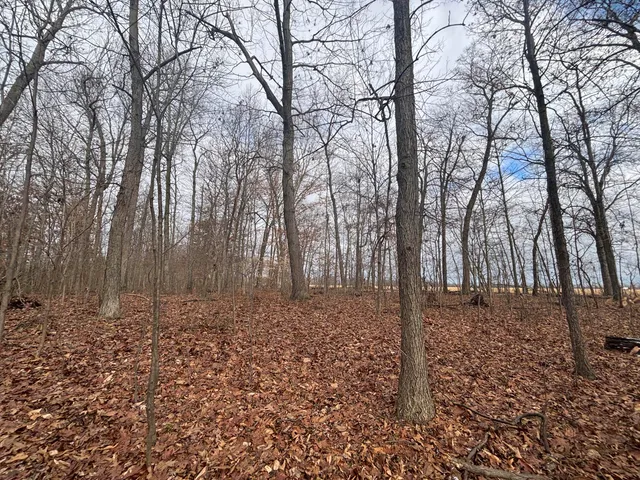 $55,000 | 25 A 89th Street, Decatur, MI 49045