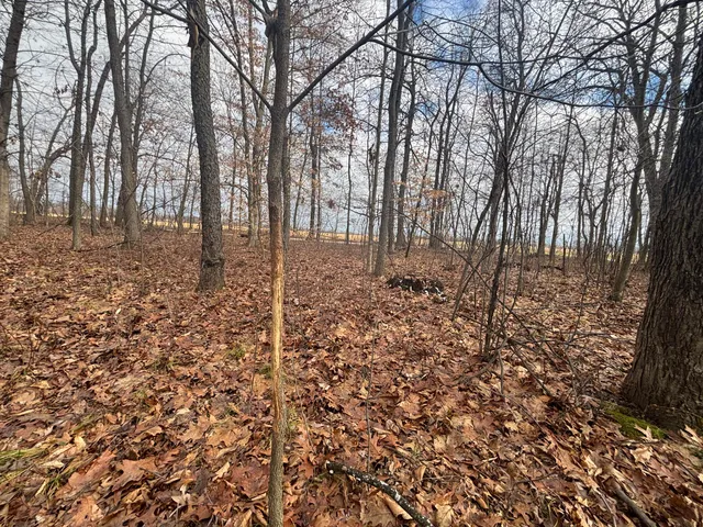 $55,000 | 25 A 89th Street, Decatur, MI 49045