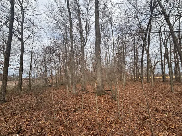 $55,000 | 25 A 89th Street, Decatur, MI 49045