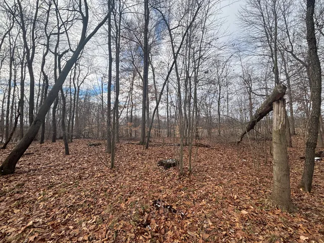 $55,000 | 25 A 89th Street, Decatur, MI 49045