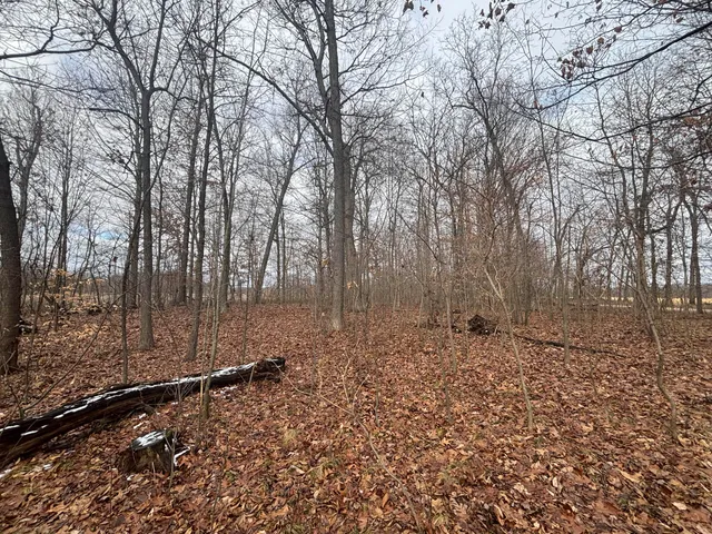 $55,000 | 25 A 89th Street, Decatur, MI 49045