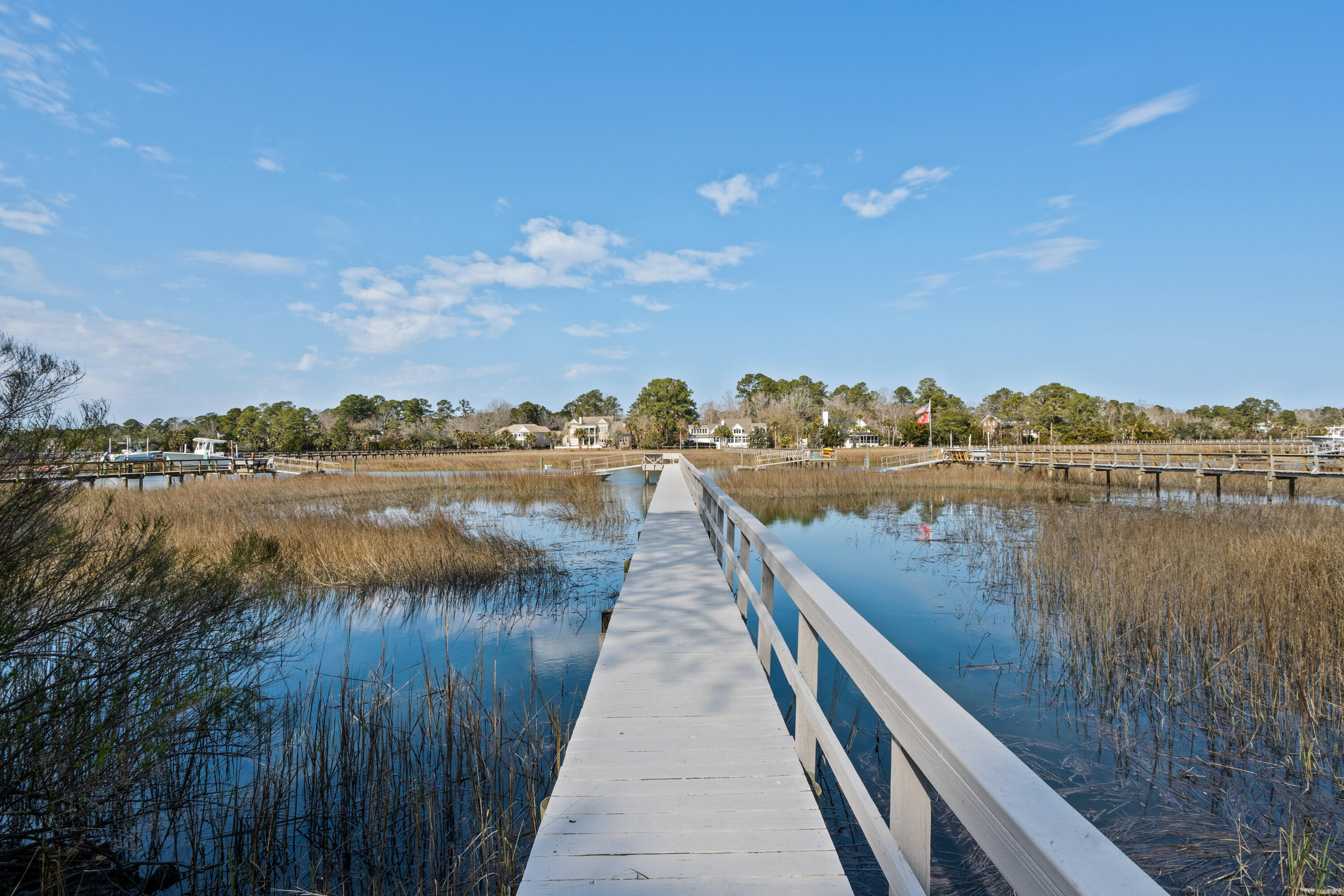 3600 Henrietta Hartford Road Mount Pleasant, SC 29466 - Photo 67 of 92 Dock