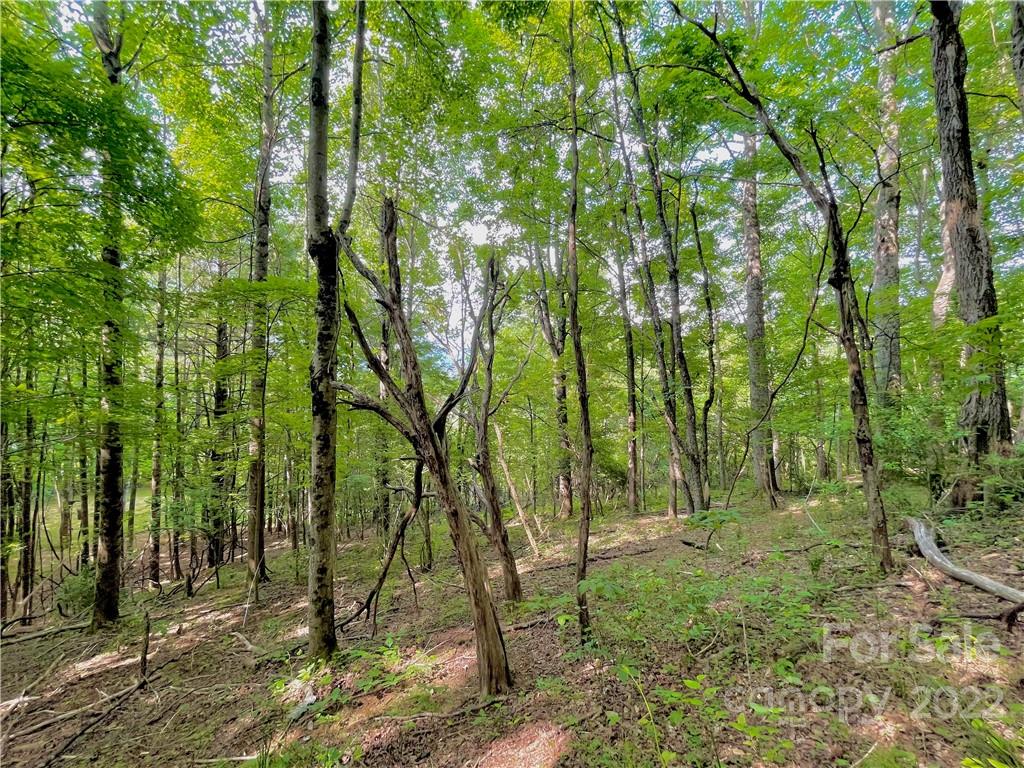 1125 Church Road Boone, NC 28607 - Photo 35 of 43