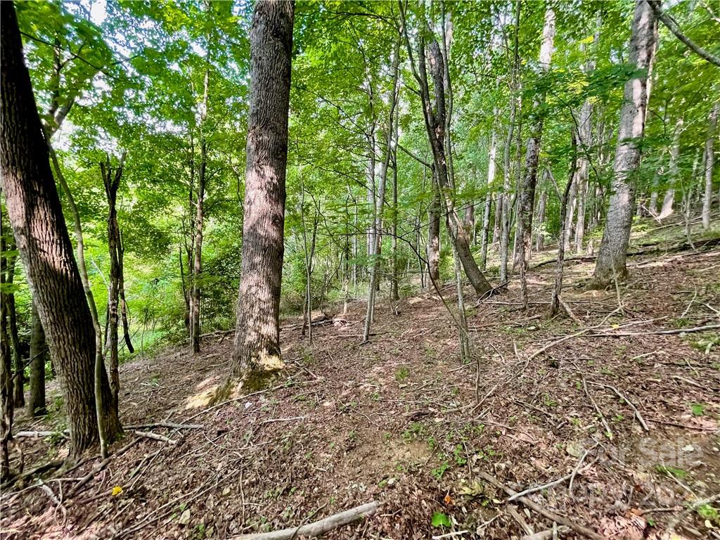 1125 Church Road Boone, NC 28607 - Photo 36 of 43