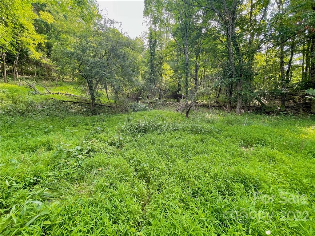 1125 Church Road Boone, NC 28607 - Photo 37 of 43