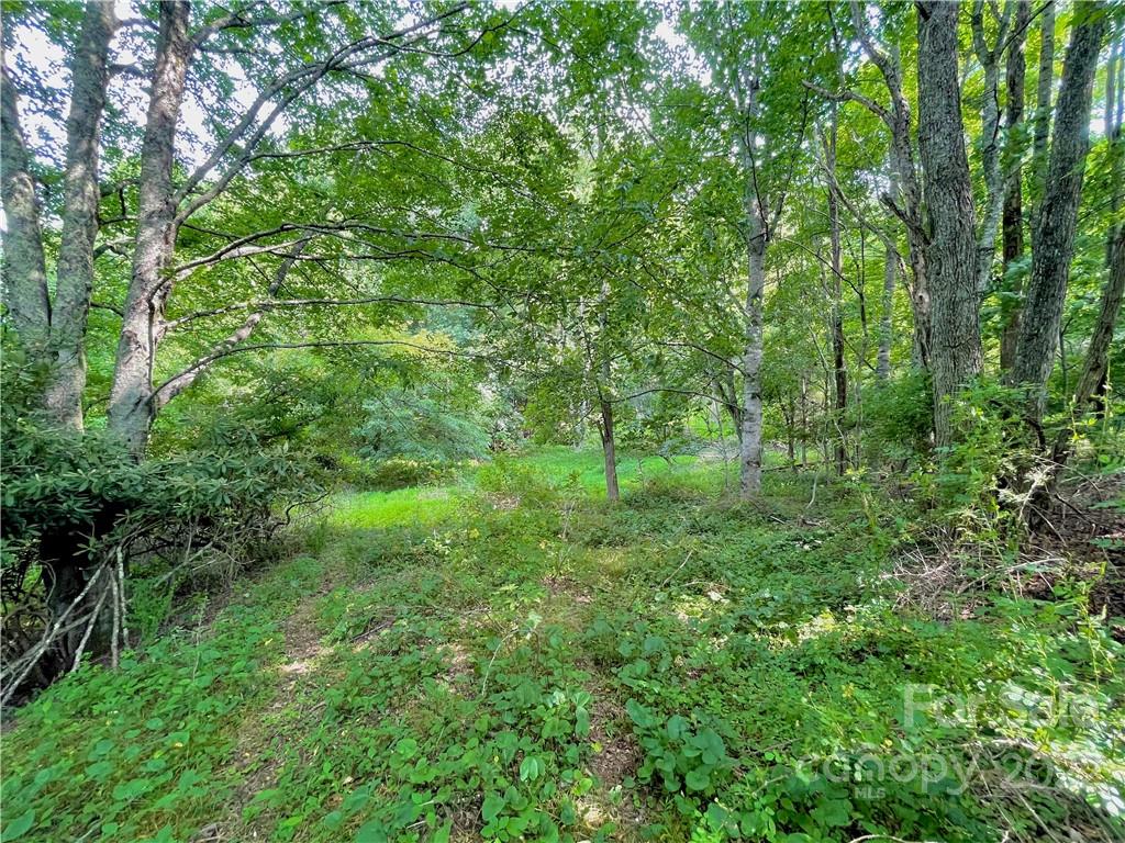 1125 Church Road Boone, NC 28607 - Photo 38 of 43