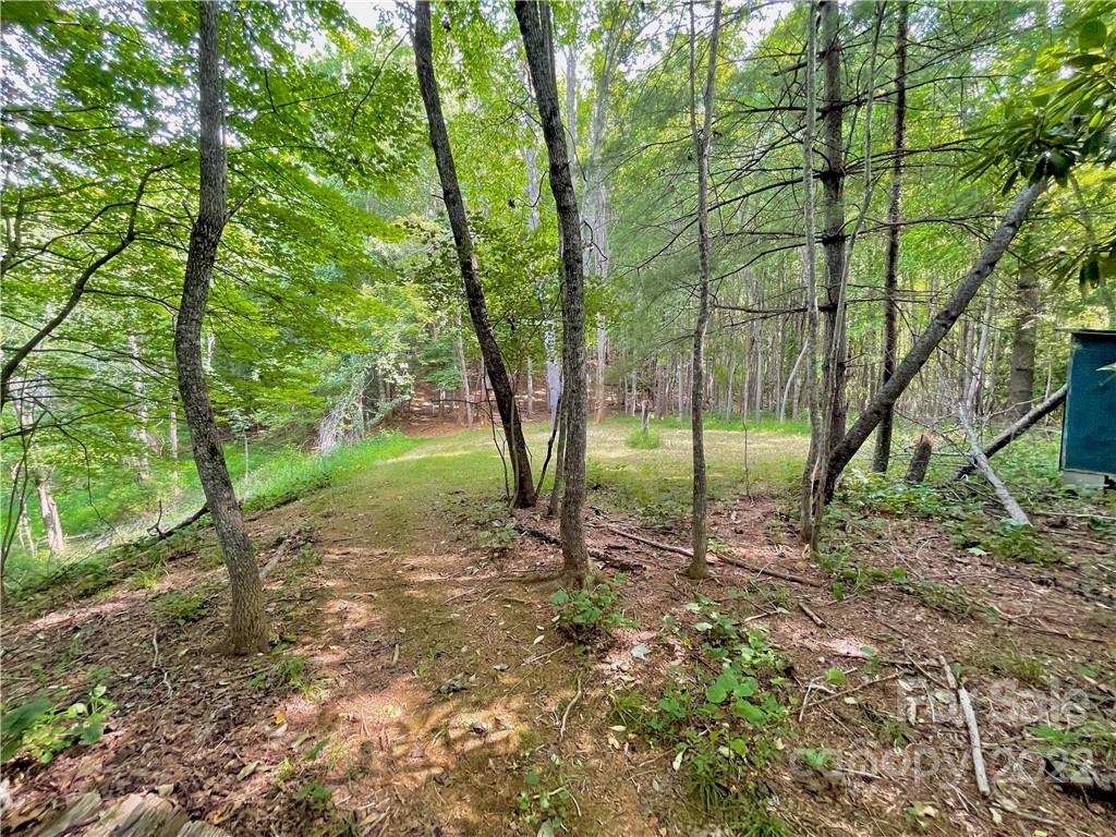 1125 Church Road Boone, NC 28607 - Photo 40 of 43