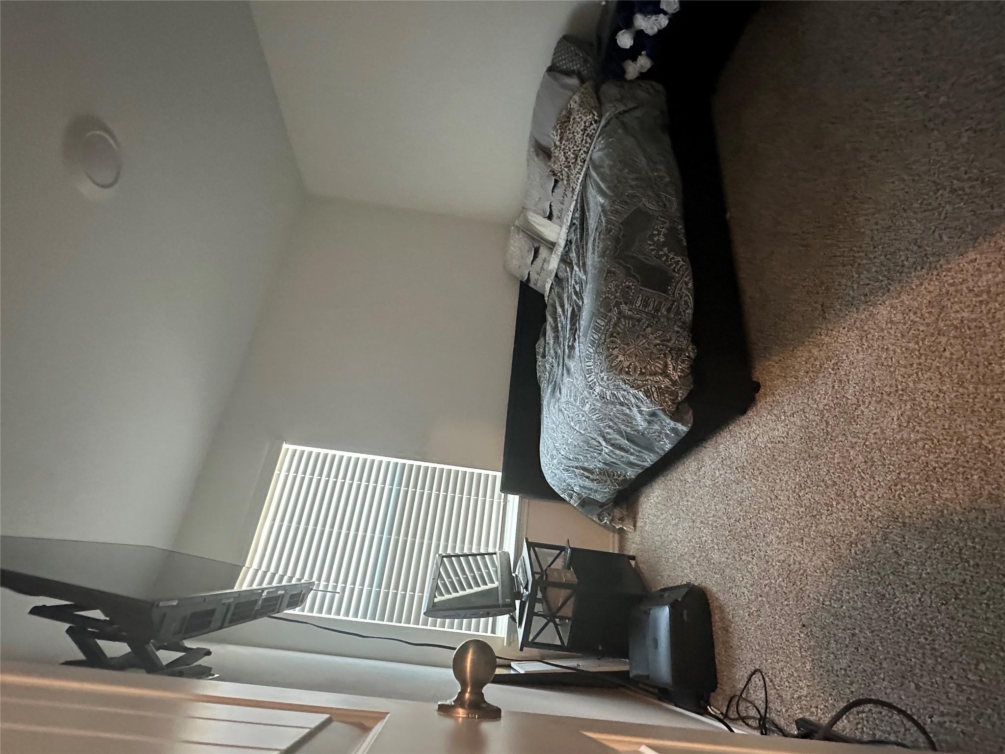 519 Sandringham Loop Kyle, TX 78640 - Photo 9 of 26 Bedroom with carpet floors