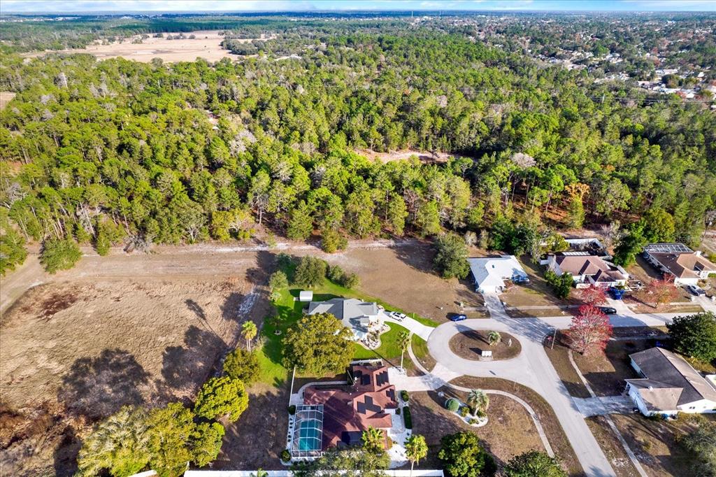 6118 Nardello Avenue Spring Hill, FL 34608 - Photo 2 of 42