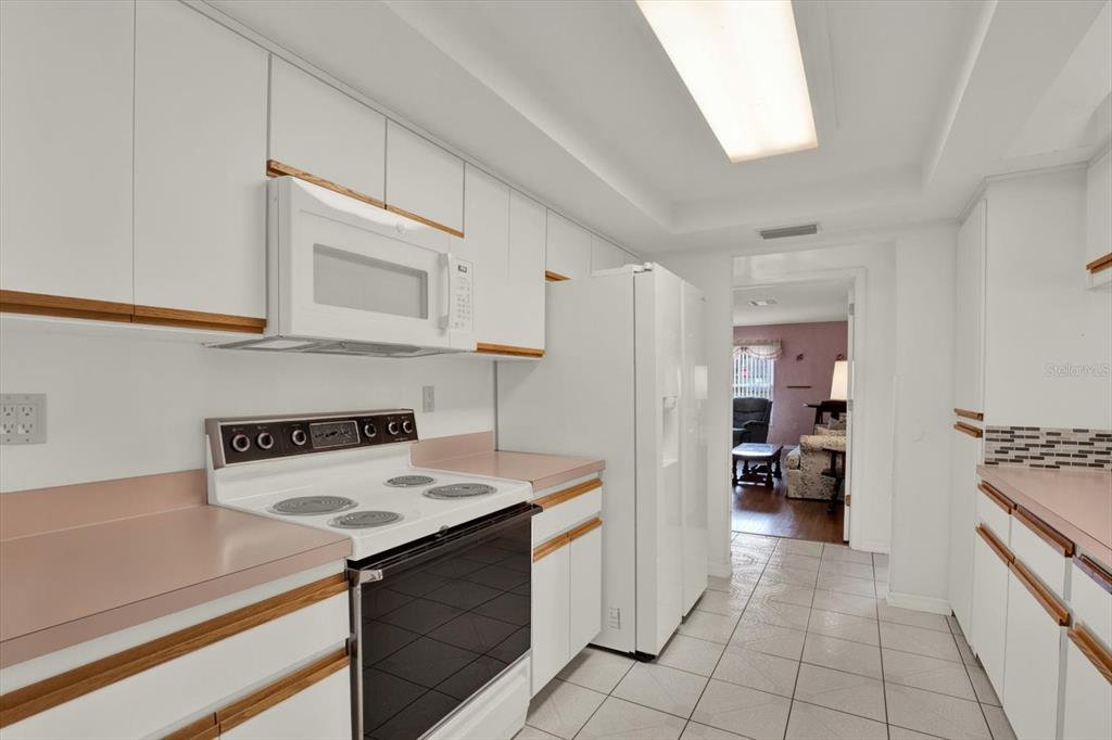 6118 Nardello Avenue Spring Hill, FL 34608 - Photo 35 of 42