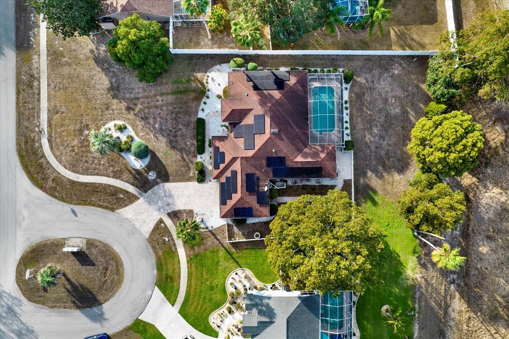 6118 Nardello Avenue Spring Hill, FL 34608 - Photo 5 of 42