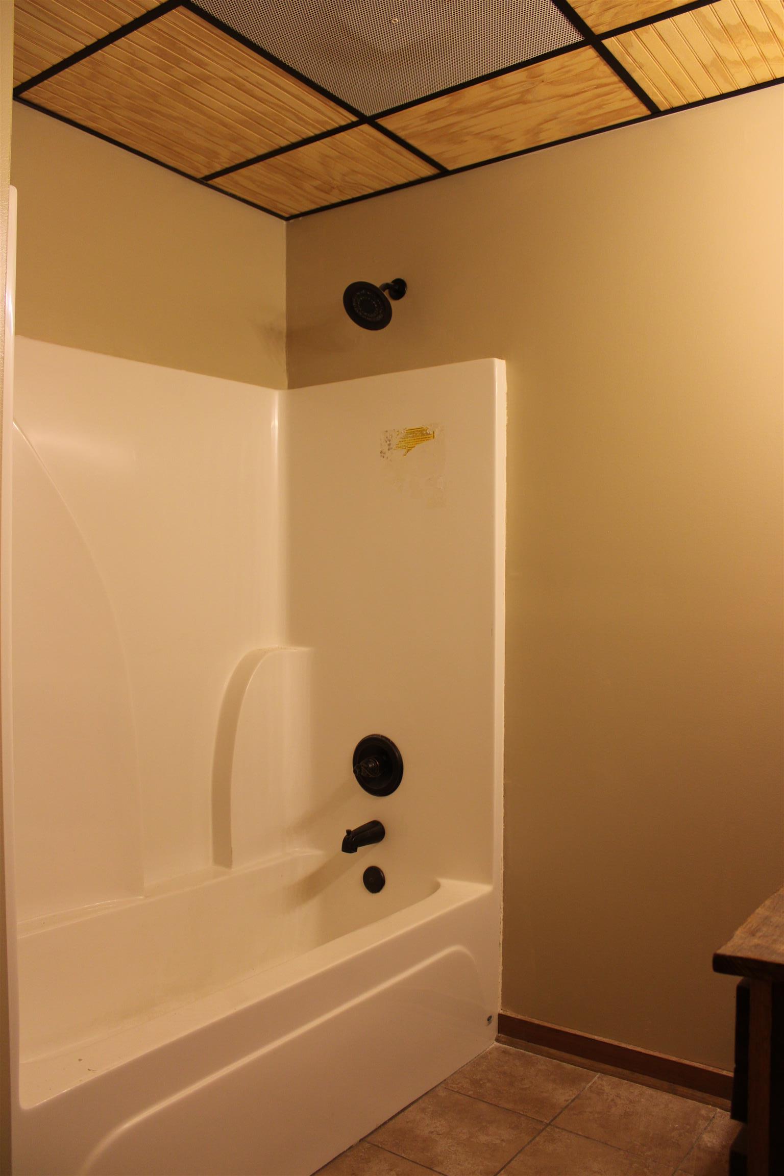 1501 Rolin Hollow Road Ardmore, TN 38449 - Photo 29 of 30 a bathroom with a bathtub