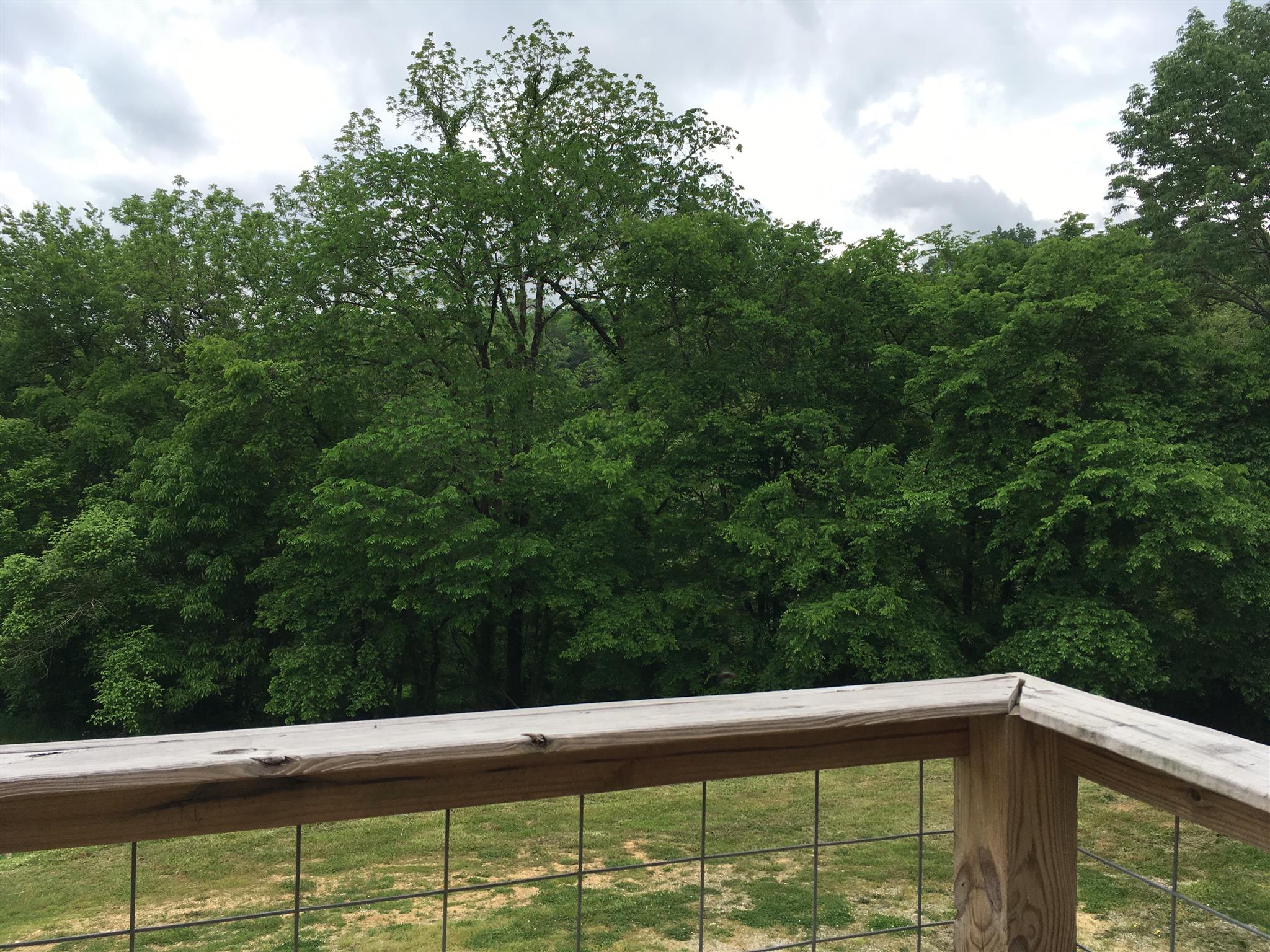 1501 Rolin Hollow Road Ardmore, TN 38449 - Photo 4 of 30 a view of a back yard from a balcony
