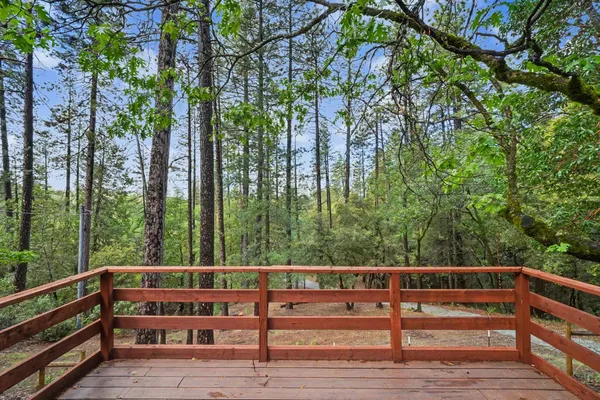 a view of a forest with trees