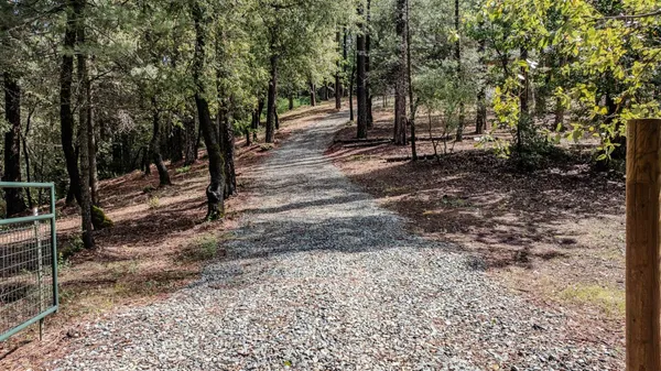 a view of road and trees