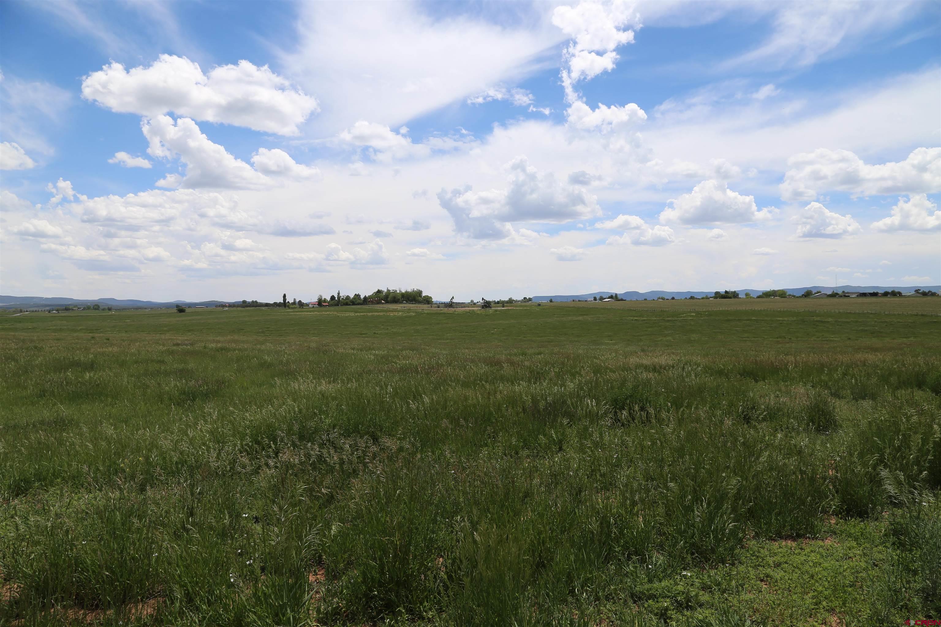 Tbd County Road 301 Durango, CO 81303 - Photo 2 of 5 a view of a city
