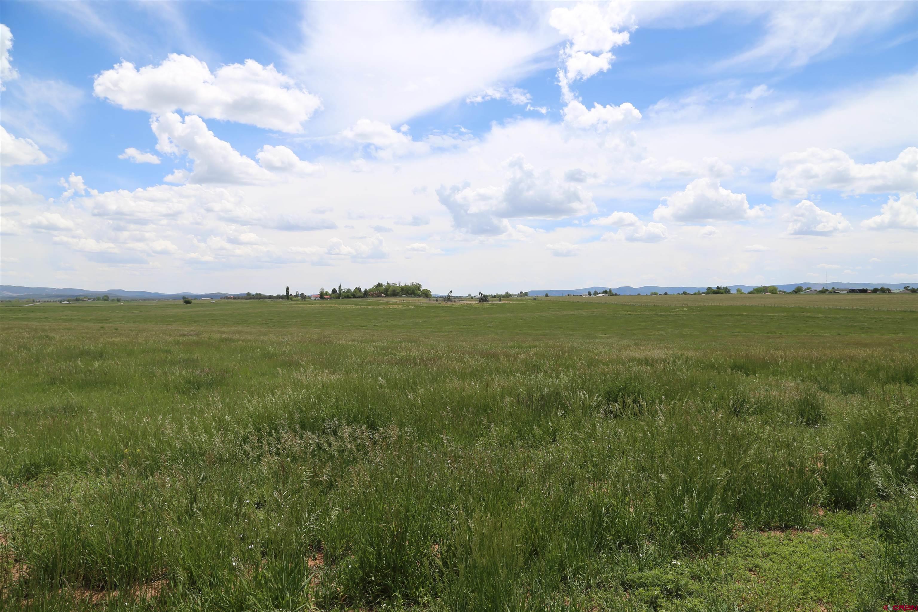 Tbd County Road 301 Durango, CO 81303 - Photo 3 of 5 a view of a city with lots of trees