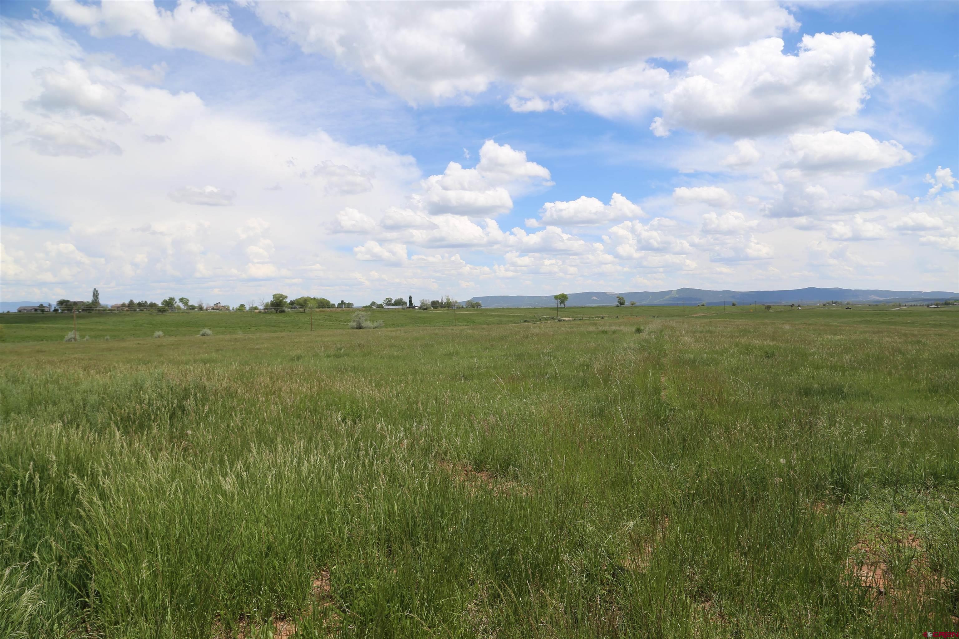 Tbd County Road 301 Durango, CO 81303 - Photo 5 of 5 a view of a big yard with lots of green space