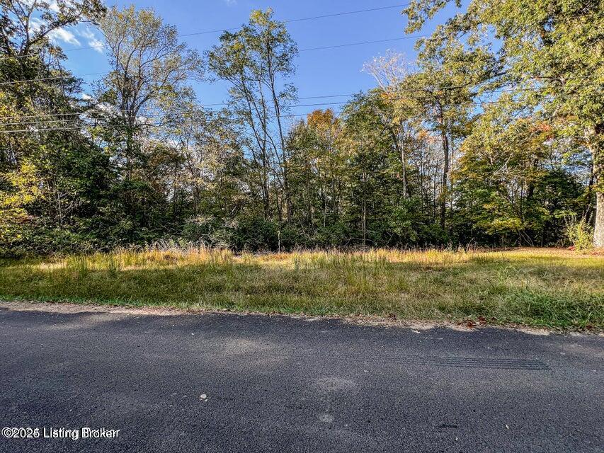 1 Scotts Chapel Road Jamestown, KY 42629 - Photo 5 of 6 sco