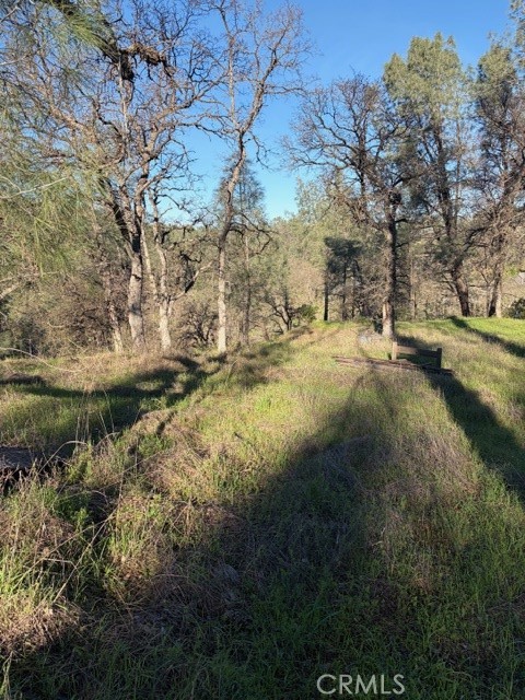 7098 Corral Corning, CA 96021 - Photo 16 of 22