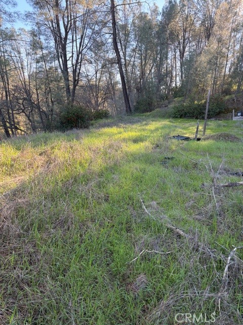 7098 Corral Corning, CA 96021 - Photo 18 of 22