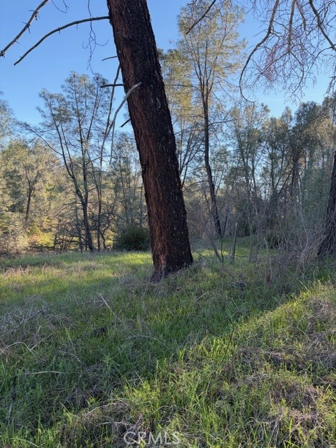 7098 Corral Corning, CA 96021 - Photo 5 of 22